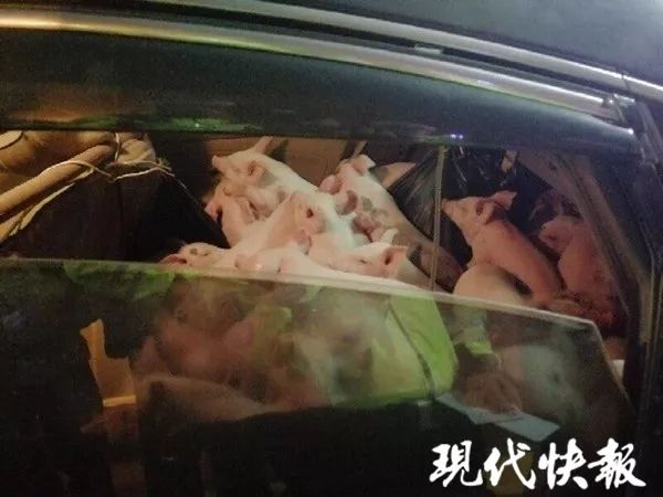 上海嘉定晚上小巷子(乐清市),嘉定区那有小姐