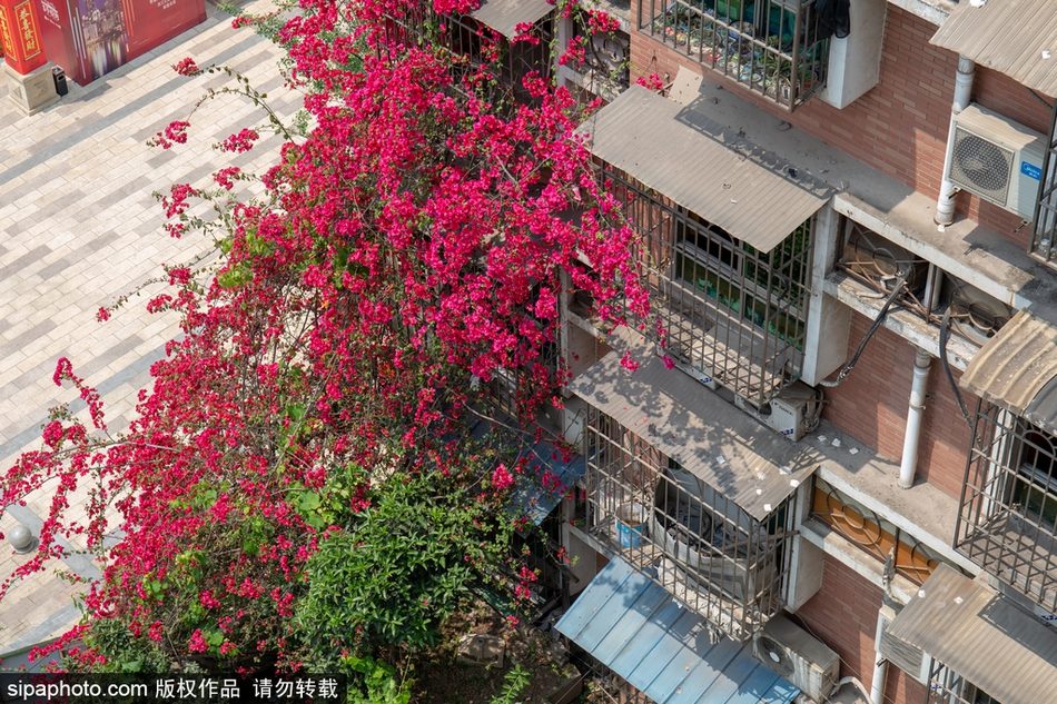 淮安技术好的半套场(绥化市),淮安哪里spa