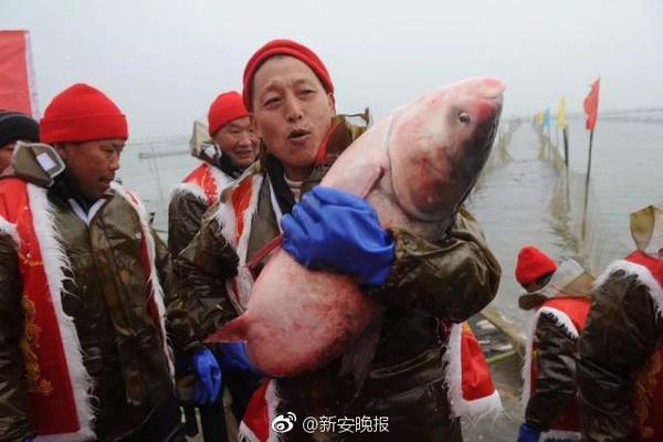 美团怎么点外援服务呢(建水县),美团外卖员怎么接单送餐