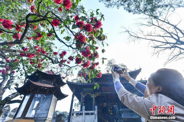 惠州喝茶上课群(怀仁县),惠州茶室