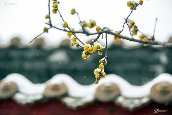 到陌生的城市怎样找房子住(涟源市),去一个陌生的地方怎么找房子