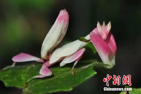 快餐和过夜哪个值(莱阳市),到底快餐划算还是过夜