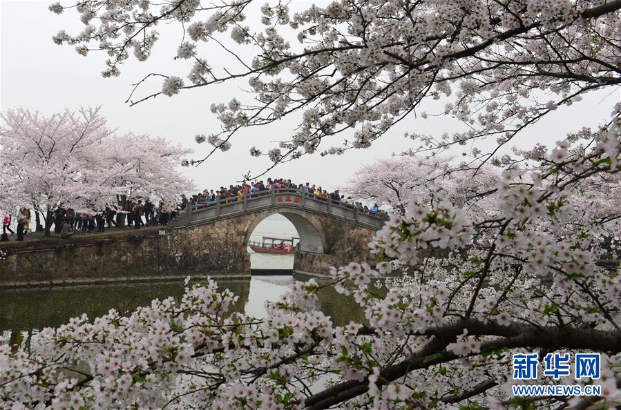 洛阳那大学门口能早服务(西丰县),洛阳大学餐厅窗口出租