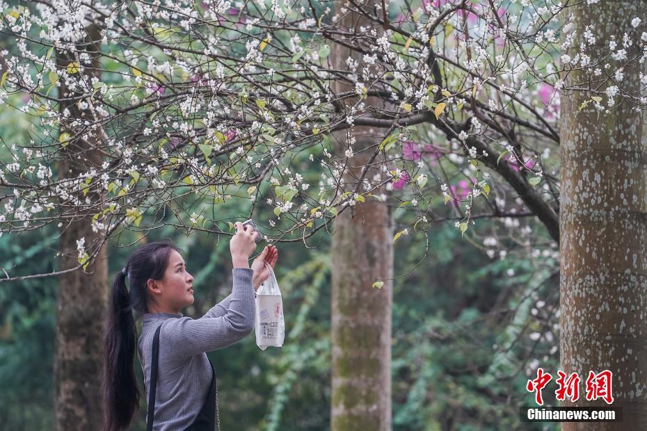 漳州快餐澳门皇冠app的联系方式大全电话(华亭县),福建漳州有什么快餐澳门皇冠app的联系方式