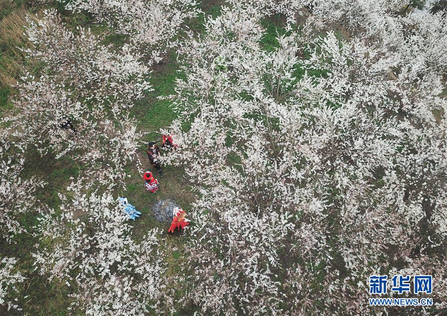 梅州全套多少钱(丹东市),梅州哪里的休闲会所比较好